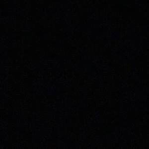 Meet your Posher, Priscilla